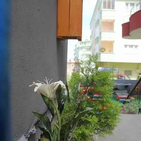 Apartment Homes And