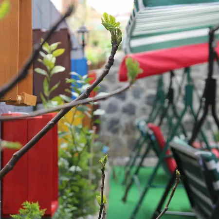 Apartament Homes And Trabzon